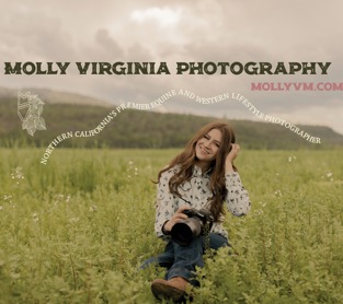 Molly Virginia Photography