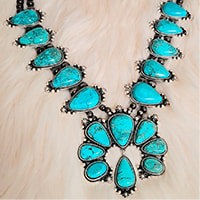 Western Jewelry & Accessories